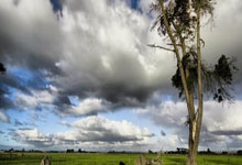 亚洲杯最新形势：热刺高居榜首，利雅得新月强势追赶，冠军归属成迷(亚洲杯最新战况)